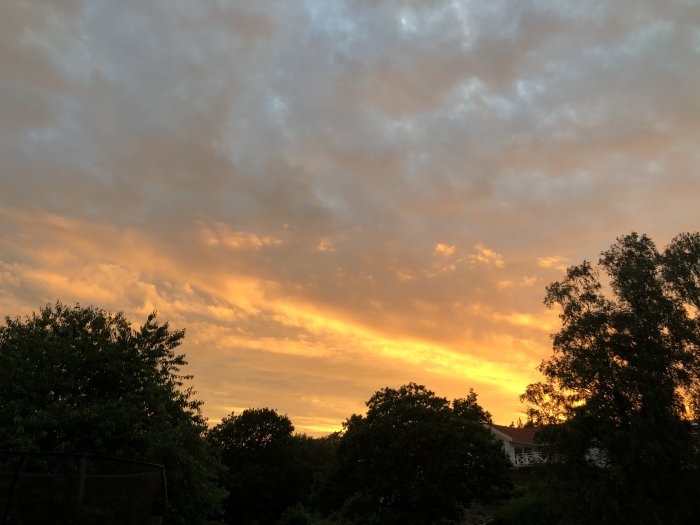 Dramatisk solnedgång med orange och gyllene nyanser på himlen över silhuetter av träd och byggnader.