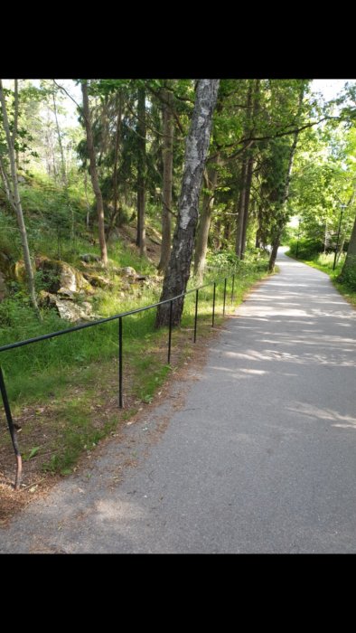 Enkelt svart smidesräcke längs en gångväg i ett skogsområde.