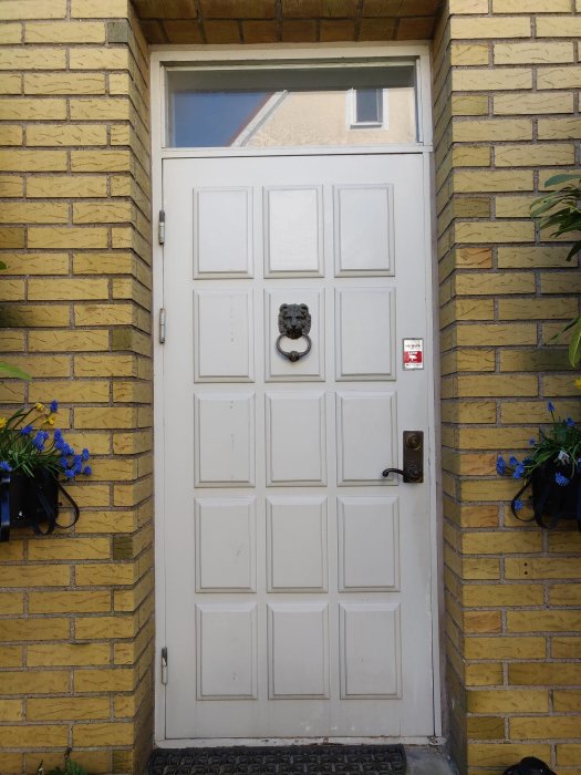 Vit panel ytterdörr med lejonhuvud dörrknackare på en gul tegelvägg, omgiven av blå blommor.