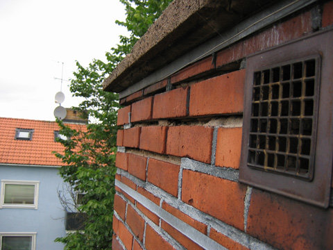 IMG_3575.jpg