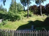 DSC00449.JPG