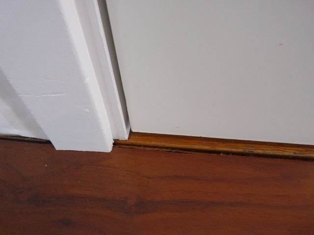 P1070345.jpg