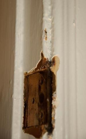 _DSC8733.jpg