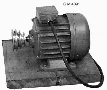 Motor.jpg