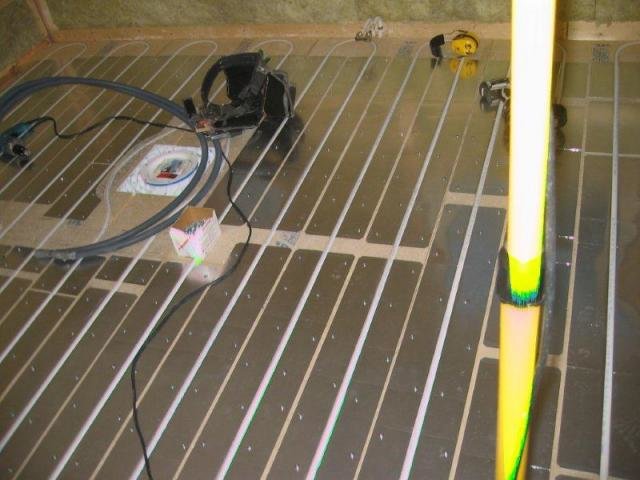 IMG_3666.jpg