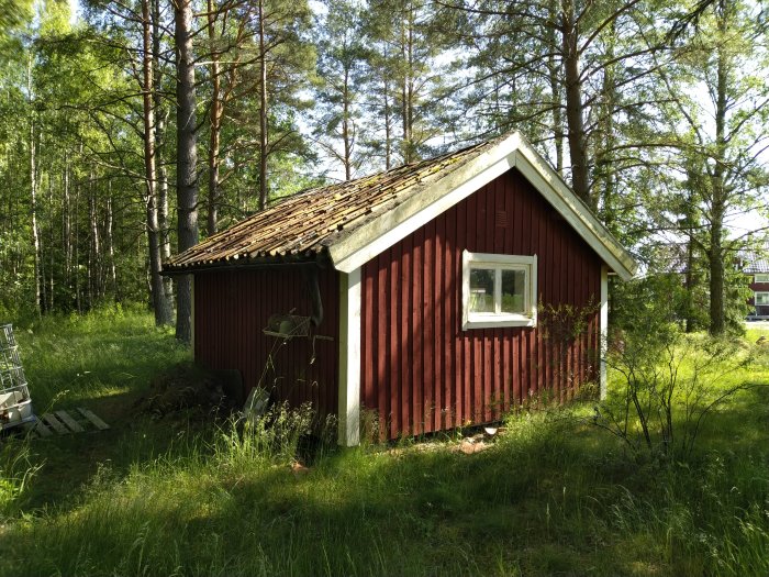 Rödfärgad stuga med slitet tegeltak omgiven av träd och grönska, tecken på behov av renovering.