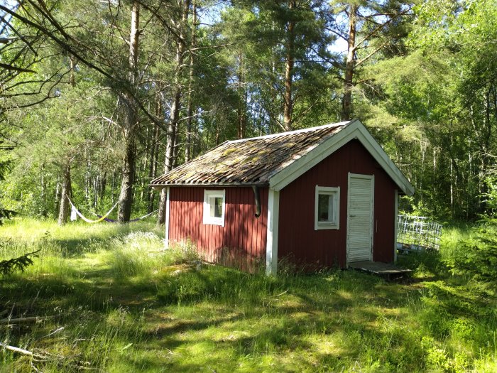 Rödmålad liten stuga med skadat tak omgiven av grönska och träd på en solig dag.