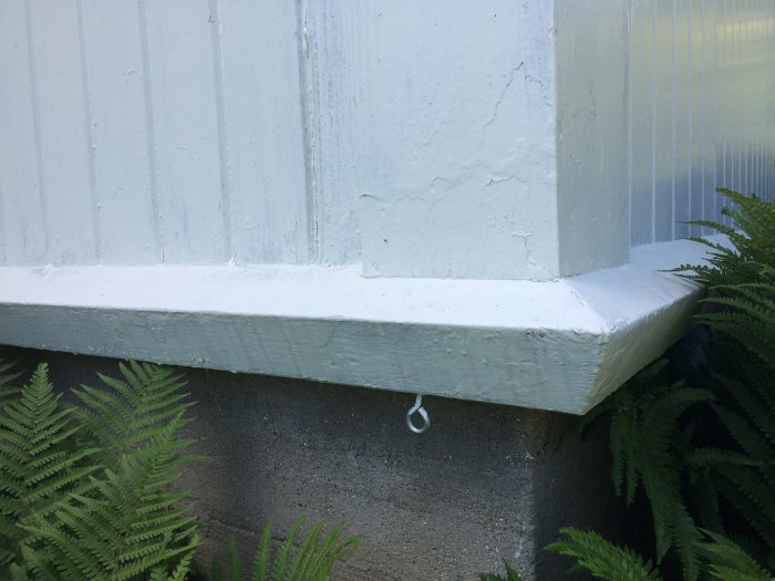 Vitmålad träbänk mot en vägg med liggande panel ovanför en grund av betong, omgiven av ormbunkar.