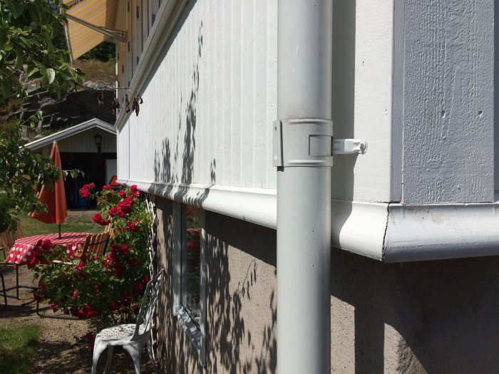 Väggdetalj med regnvattensrör på ett vitmålat 1930-tals bostadshus, omgiven av en trädgård med röda rosor och utemöbler.