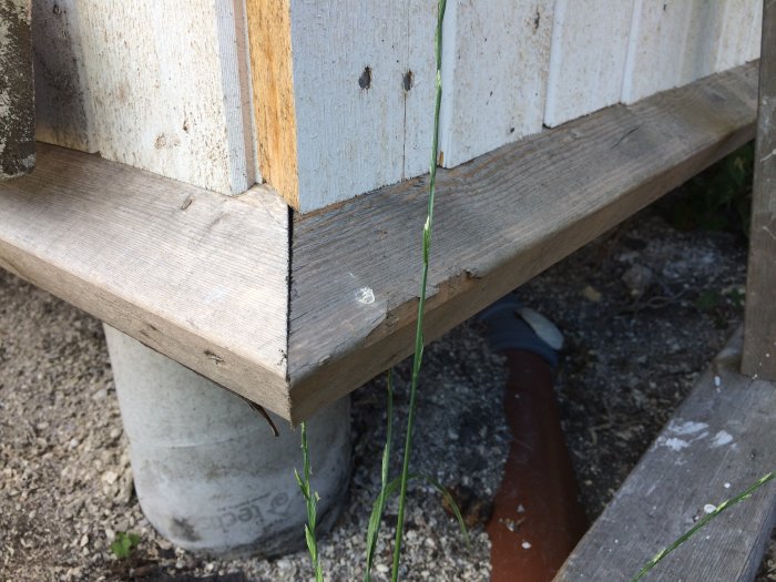 Detaljbild av träsolbänk med synlig träplugg och stålspik på grå betongpelare över rostig metallrör.