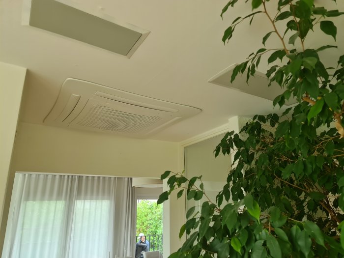 Ventilationsutrustning i tak med genomförda rörinstallationer och en växt i förgrunden.