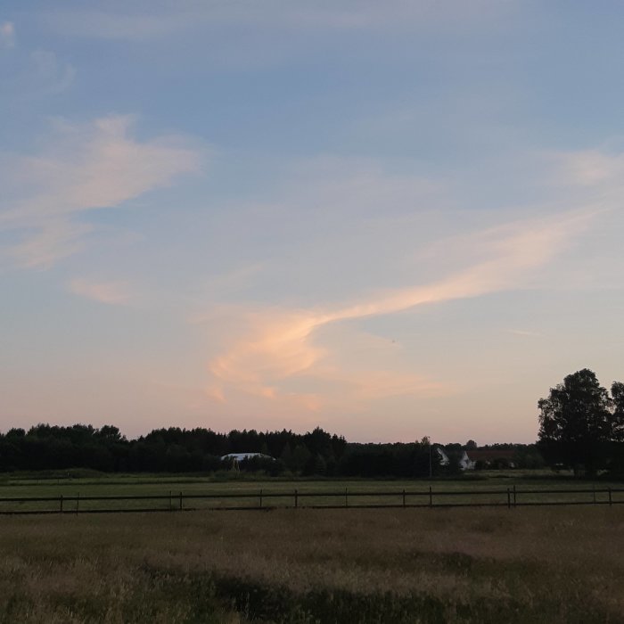 Pastellfärgad himmel över ett fält med träd i bakgrunden under kvällstid.