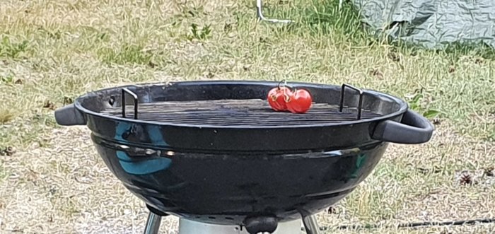 Ensam röd paprika på grillgallret i en kolgrill med gräsyta i bakgrunden.