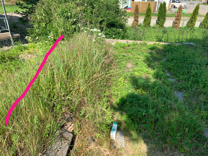 Trädgårdstomt med scherzminbuske markerat med rött streck där användaren vill plantera en häck.