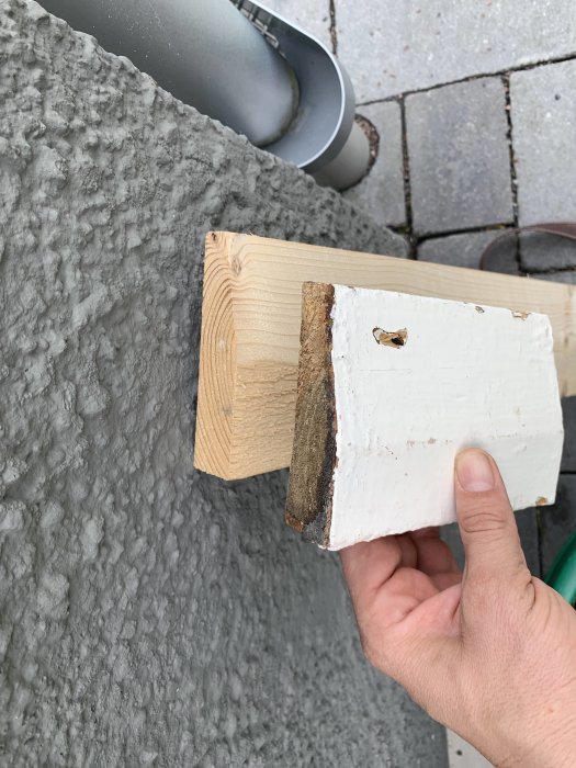 Provbit av trä med sågade kanter hållen i handen mot grå betongbakgrund.