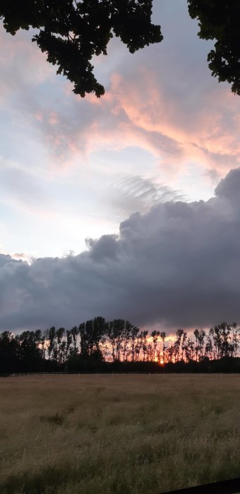 Solnedgång med dramatisk himmel över ett öppet fält och silhuetter av träd.