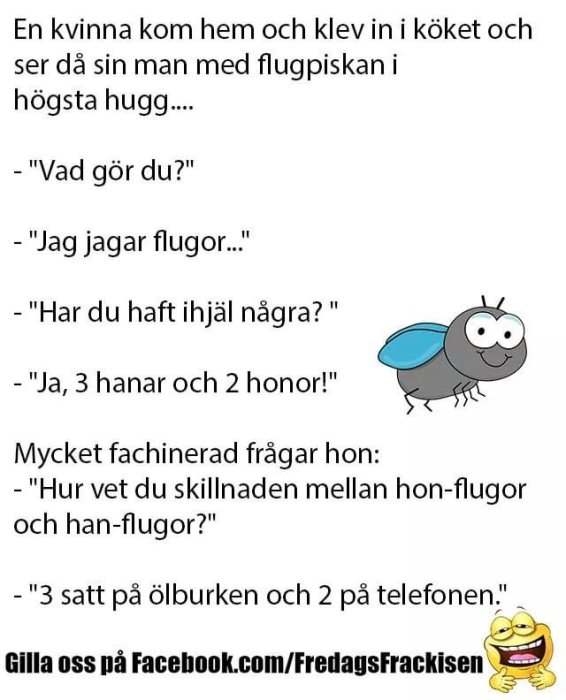 Skärmavbild av ett skämt om flugjakt med text och en tecknad fluga, samt en emoji som skrattar.