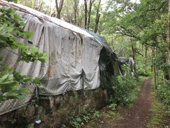 Stor vedkonstruktion täckt med presenningar längs en skogsstig, en blandning av ordnad och vild natur.
