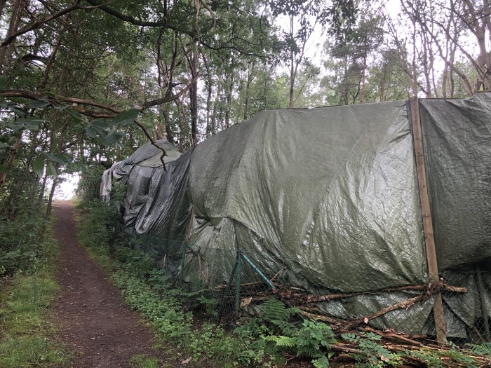 Lång stor presenning täckt konstruktion bredvid en stig i skogen, ser ut som ett rustikt bygge.