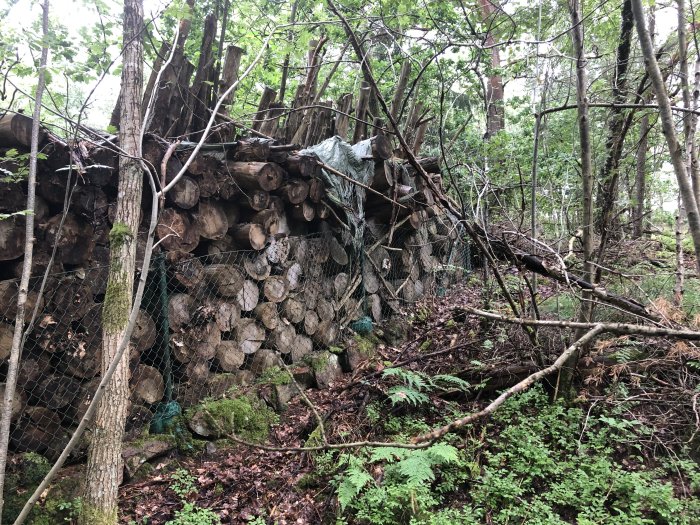 Vedstapel i skogen, delvis täckt av pressening, med nät och omgivande grönska.