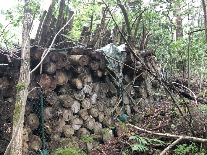 Trave av vedstaplar i olika höjder, skyddad av pressening och nät, i en skogsmiljö.