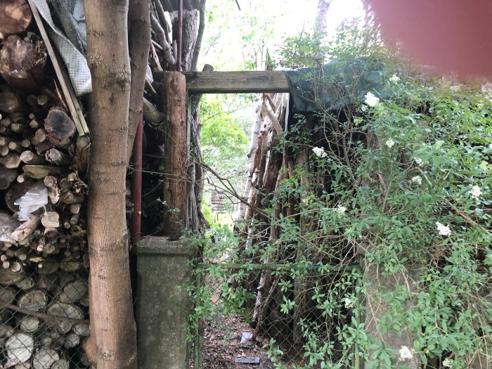 En smal öppning mellan vedstaplar och grönska vid en ingång utan vindbrygga.