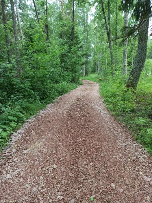 Nyanlagd grusgång genom en grön lövskog med kurvan framåt i landskapet.