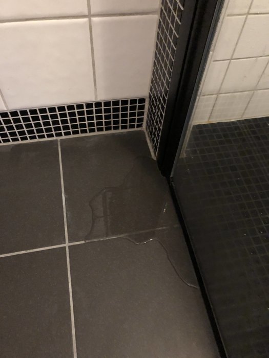 Vattenläckage vid foten av en duschvägg intill mörkgrå klinkergolv.
