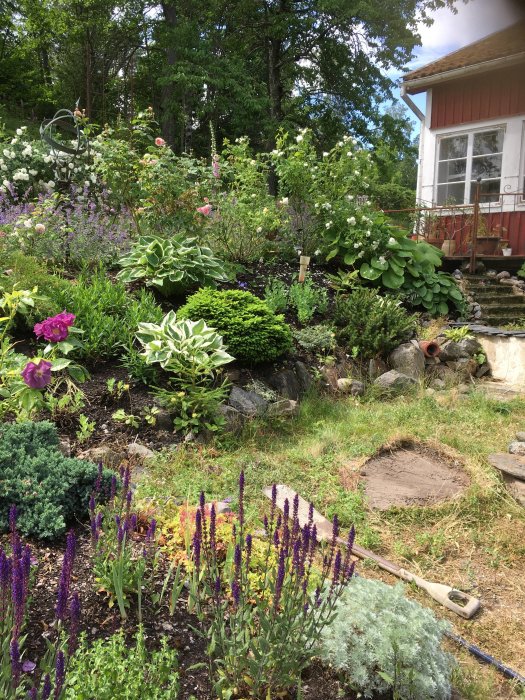 En välskött trädgård med en blandning av blommande vattenväxter och stenar vid en husgrund.