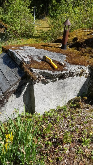 Jordkällare med vittrad sten och mossa, trädetalj ovanför luckan, hammare på taket, och omgivande grönska.