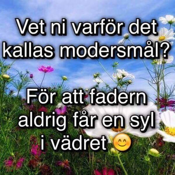 Text på bild med blomsteräng: "Vet ni varför det kallas modersmål? För att fadern aldrig får en syl i vädret 😊