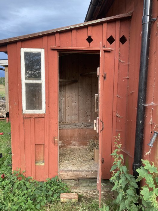 Gammalt rött dass med öppen dörr, avtaget innertak och synlig träregel, med ett fönster och ventilationshål.