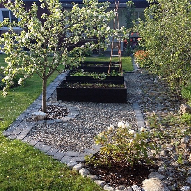 Trädgång med grus, kantsten och upphöjda odlingslådor blandat med buskar och blommande trädd.