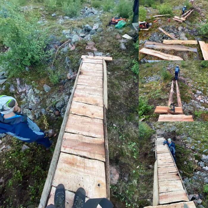 Kollage av en hembyggd träbro i skogen i olika byggskeden med personer och motorsåg.