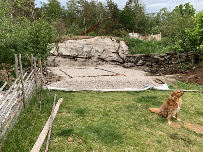 Trädgårdsyta förberedd för växthusbygge med grus och stora berg i bakgrunden, hund framför.