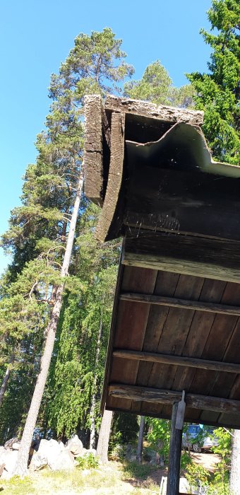 Sliten vindskiva och vattbräda mot en bakgrund av tallar under en klarblå himmel, på ett hus som behöver underhåll.