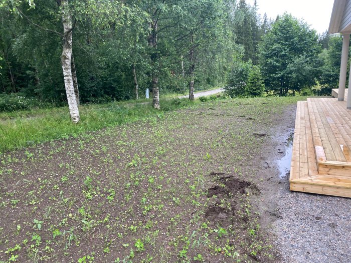 Nybyggt hus med ny terrass och blöt, nysådd jord som behöver torka och stabiliseras innan gräsmattan anläggs.