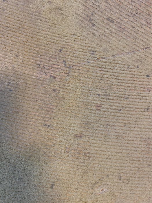 Gulaktigt fint damm på ytan där en heltäckningsmatta tagits bort, misstänkt för asbestinnehåll.