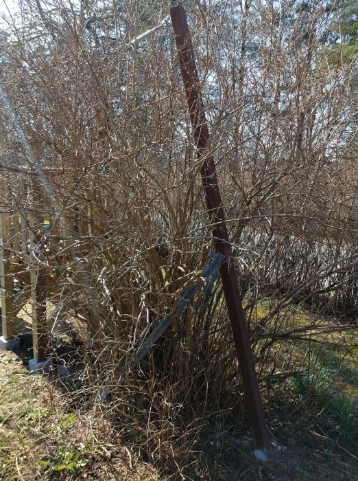 En del av en hemmagjord linbana med fastgjuten balk och stöttande vinkeljärn bland grenar.