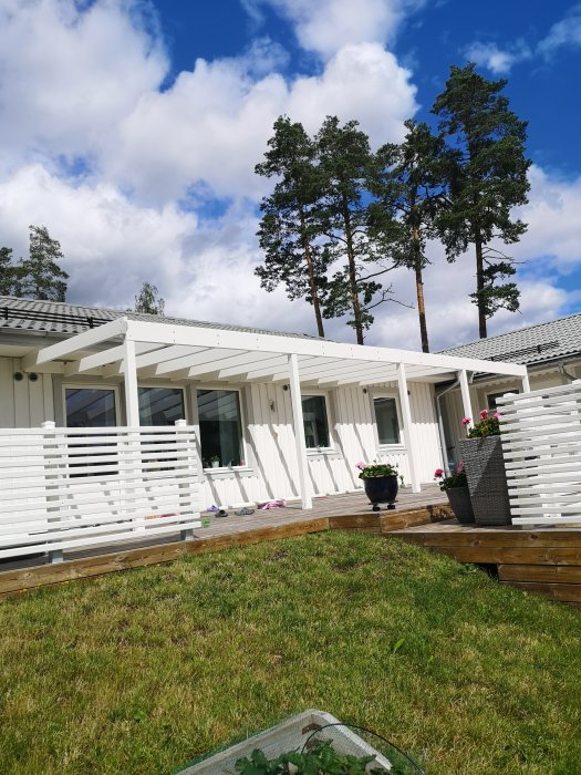 Nybyggt vitmålat skärmtak på en trädäckad uteplats med gräsmatta och tallar i bakgrunden under en solig himmel.