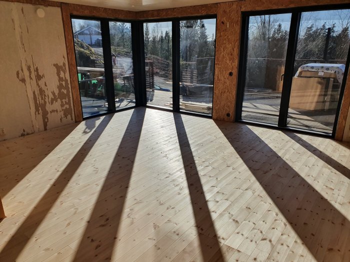 Nyinstallerat golv av massiv furu med synliga kvistar i soligt rum med stora fönster och plywoodväggar.
