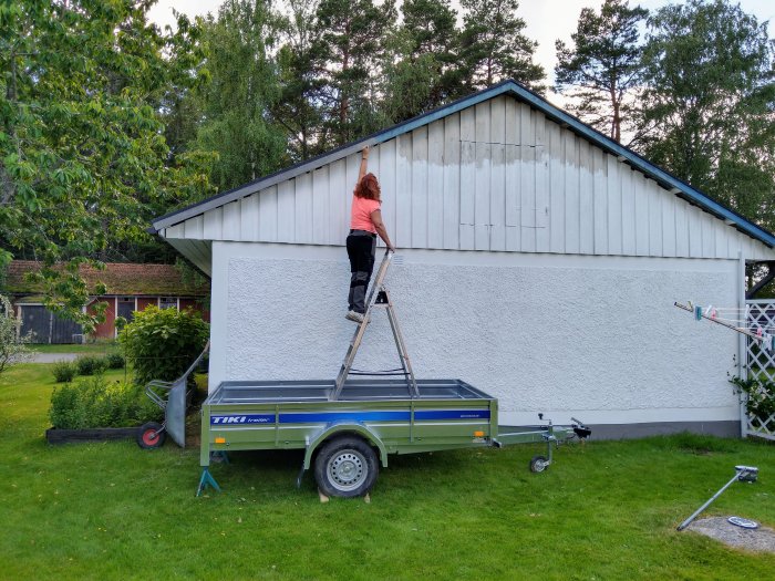 Person målar garagepanel på stege ovanpå släpkärra, omgiven av trädgårdsutrustning.