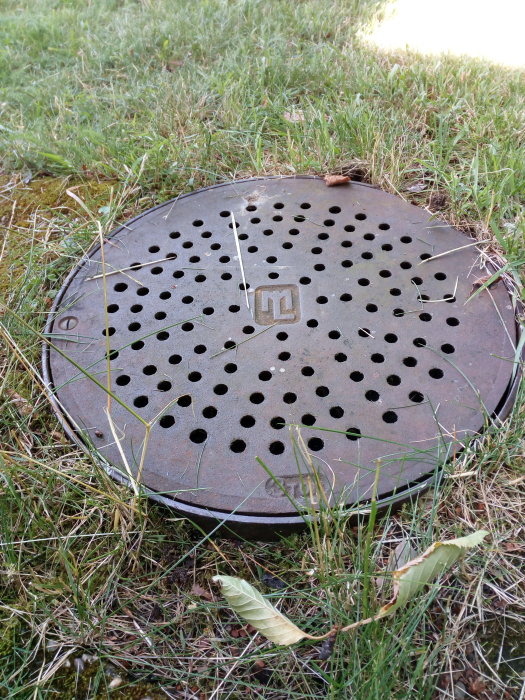 Metallisk dagvattenbrunn med hålmönster, delvis täckt av gräs och löv, synlig i trädgårdsmiljö.