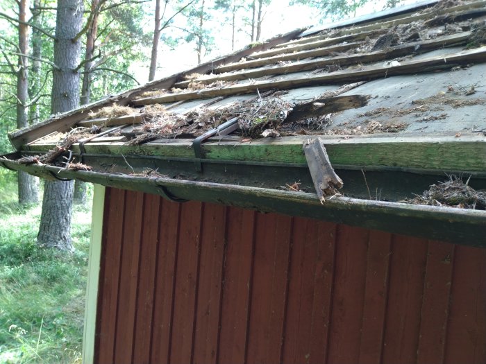 Slitet träbjälklag och takpapp med skador syns efter att takteglet avlägsnats från en byggnad.