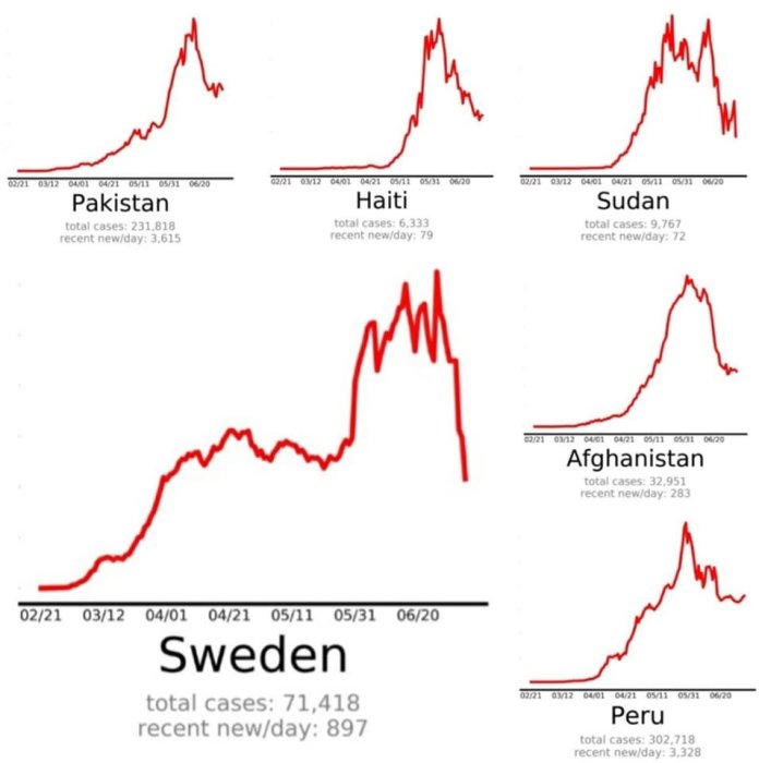 Grafer över dagliga nya fall av en sjukdom i Pakistan, Haiti, Sudan, Afghanistan, Sverige och Peru.