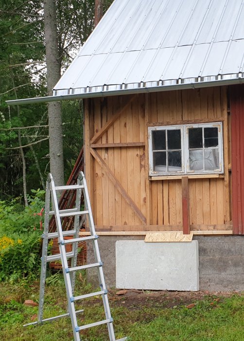 Ett gammalt träslakteri med rutten panel på väggar, ett fönster, en stege framför och en murad grund under panelen.