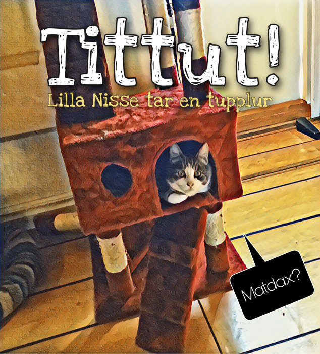 Katt tittar ut från ett hål i en hemmagjord klätterställning av kartong, text "Tittut! Lilla Nisse tar en tupplur".