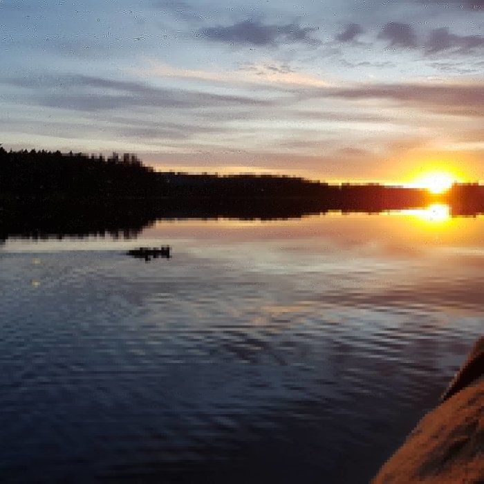 Solnedgång över en lugn sjö med silhuett av skog i bakgrunden och en liten båt på vattnet.