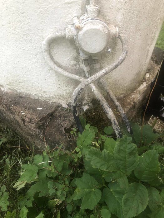 Utomhuskablar löper längs en vägg och i gräs, risk för skada av trädgårdsredskap.