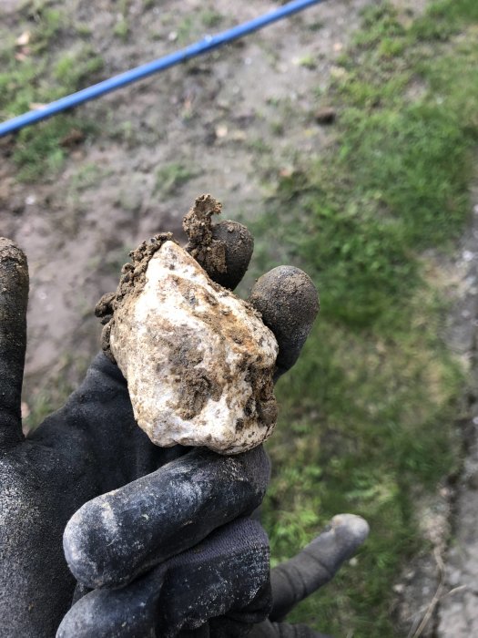 Hand i arbetshandske håller en stor sten med lera, indikerar borrning för projekt i trädgården.